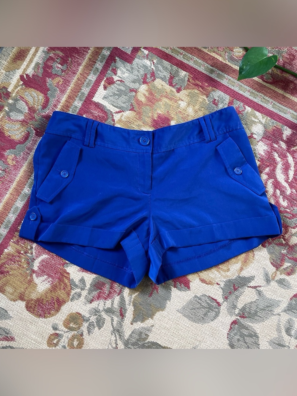 Express Cobalt Blue Dress Chino Shorts With Cuff’s